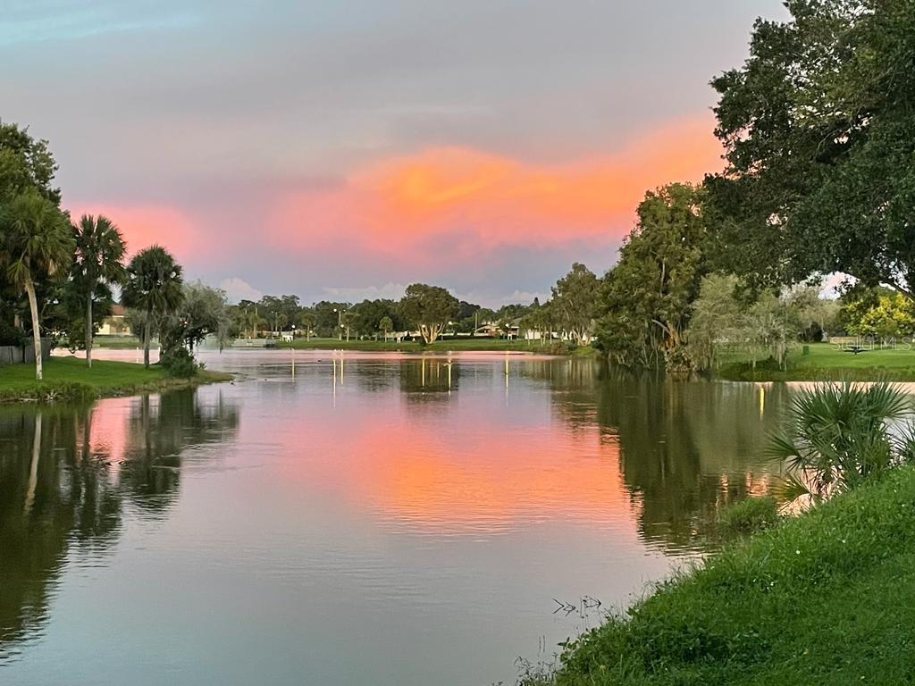 10775 GLEN ELLEN DR, TAMPA, FL, 33624