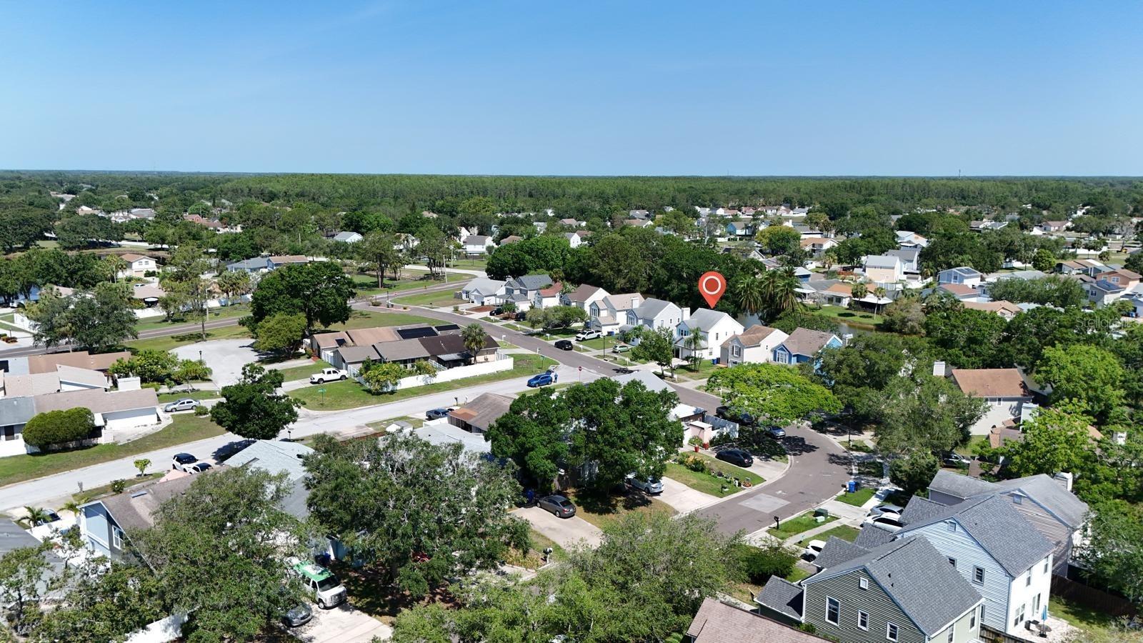 10775 GLEN ELLEN DR, TAMPA, FL, 33624