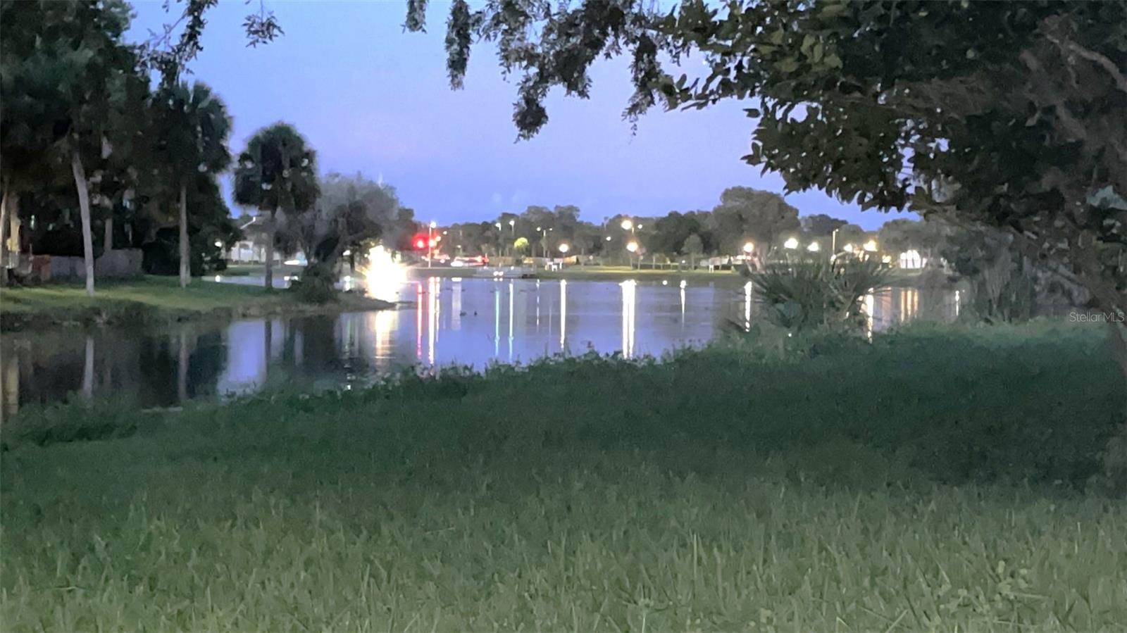 10775 GLEN ELLEN DR, TAMPA, FL, 33624