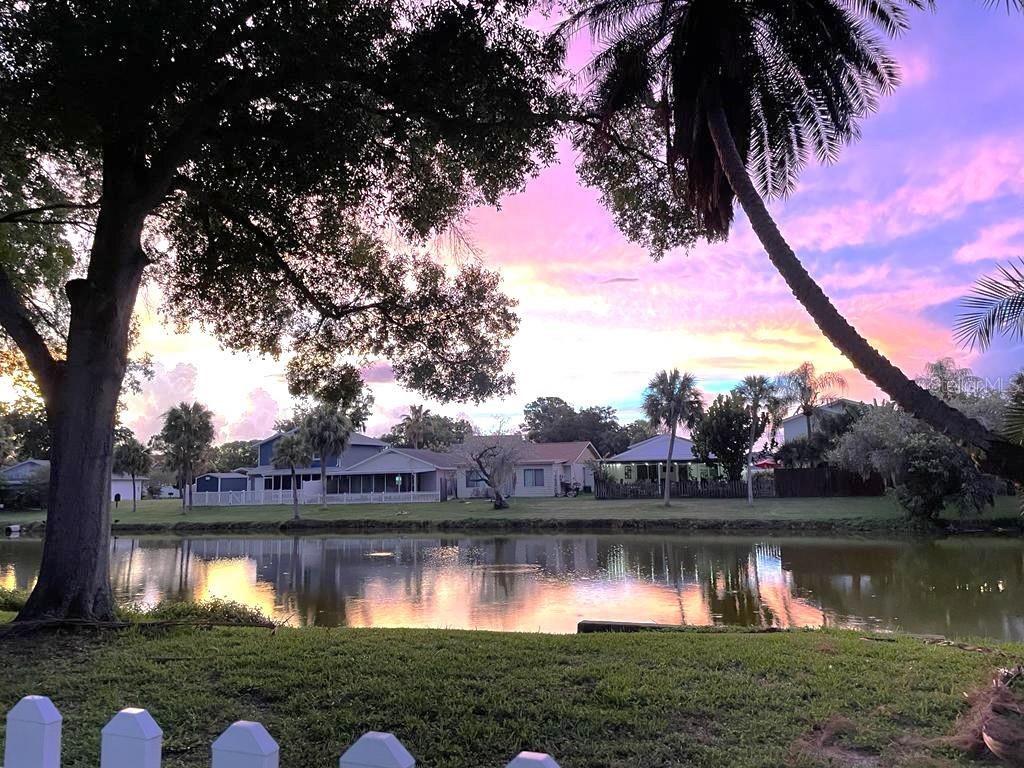 10775 GLEN ELLEN DR, TAMPA, FL, 33624