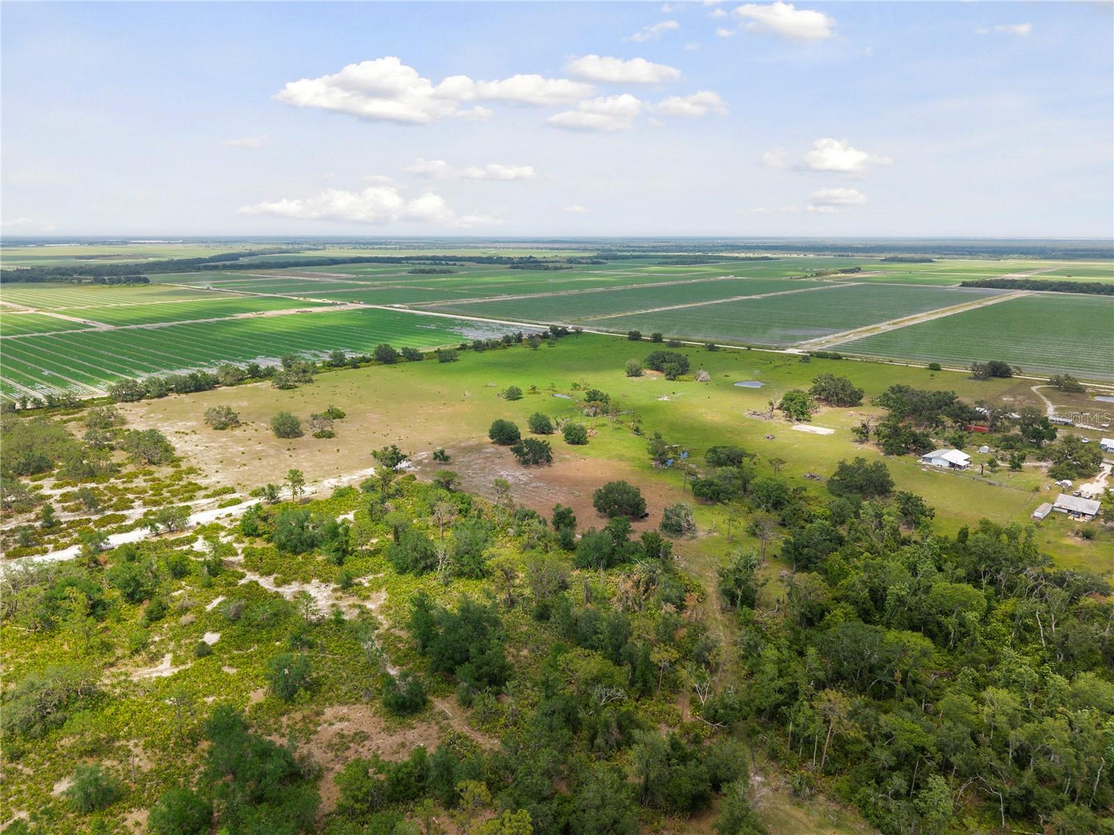 2106 RICH RD, MYAKKA CITY, FL, 34251