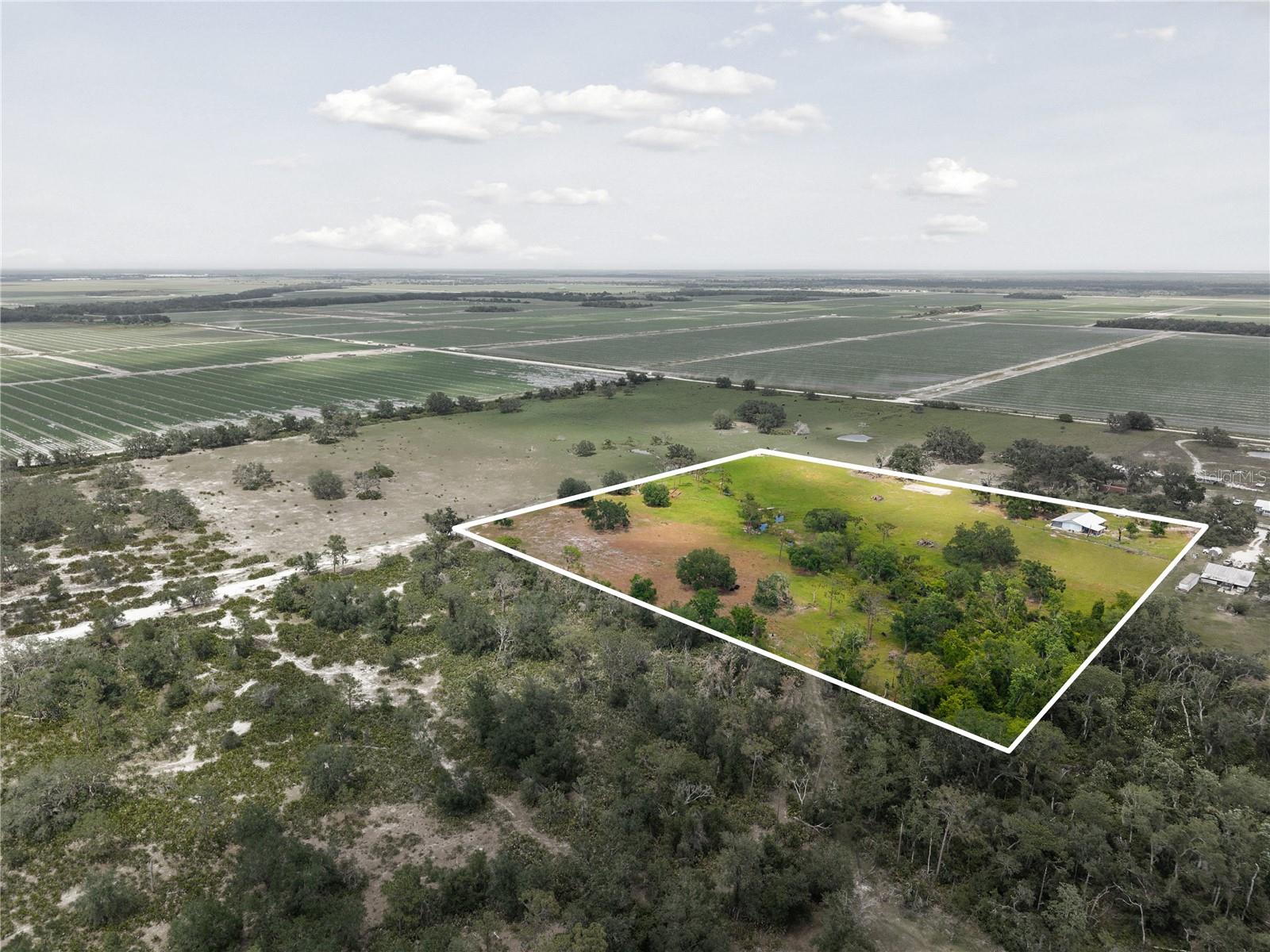 2106 RICH RD, MYAKKA CITY, FL, 34251