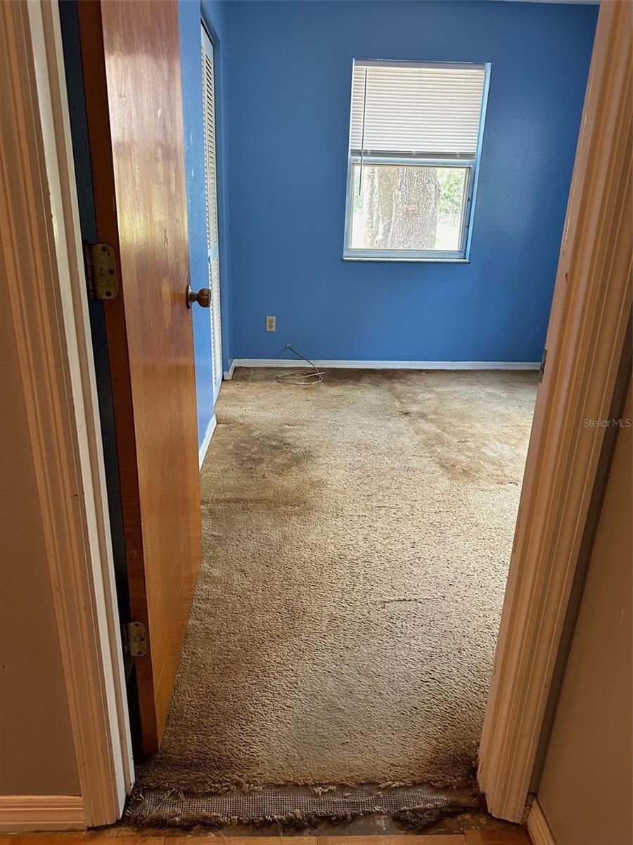 12720 JAN ST, SAN ANTONIO, FL, 33576