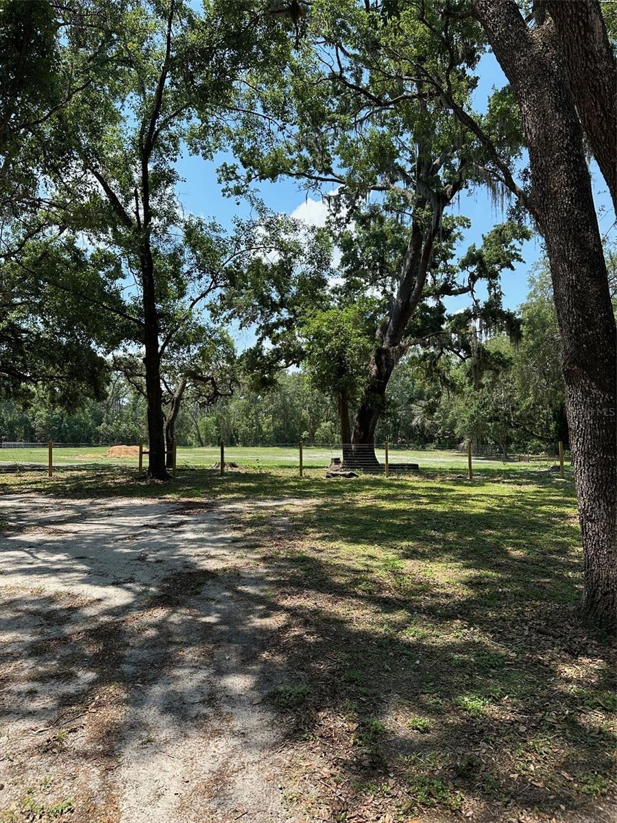 12720 JAN ST, SAN ANTONIO, FL, 33576