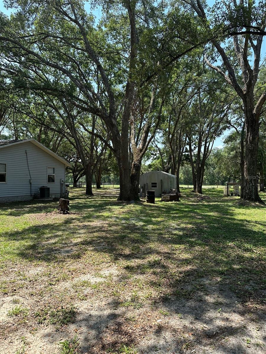 12720 JAN ST, SAN ANTONIO, FL, 33576