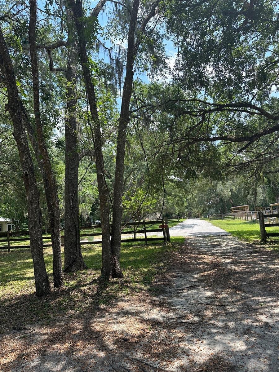 12720 JAN ST, SAN ANTONIO, FL, 33576