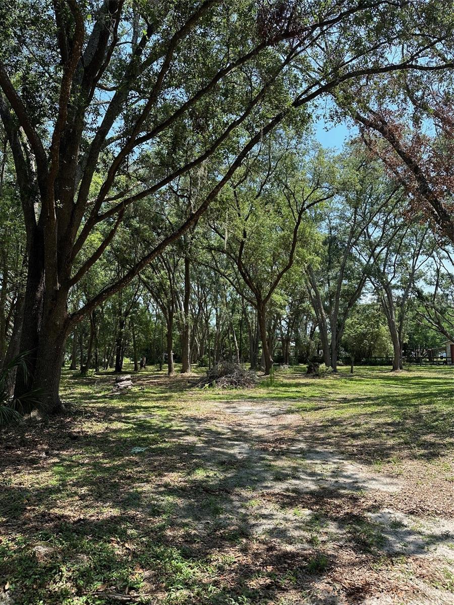 12720 JAN ST, SAN ANTONIO, FL, 33576