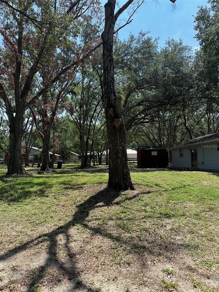 12720 JAN ST, SAN ANTONIO, FL, 33576