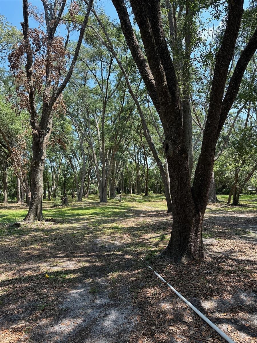 12720 JAN ST, SAN ANTONIO, FL, 33576