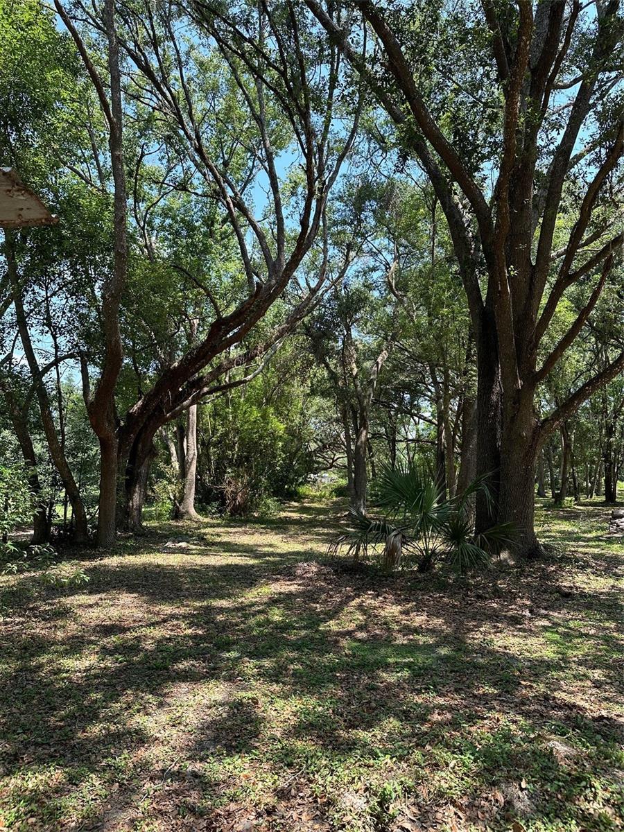 12720 JAN ST, SAN ANTONIO, FL, 33576