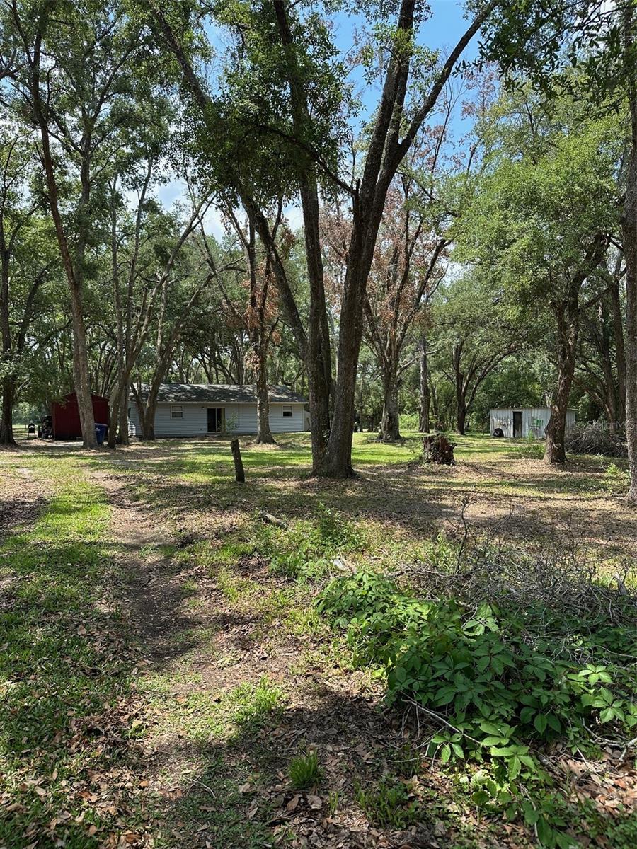 12720 JAN ST, SAN ANTONIO, FL, 33576