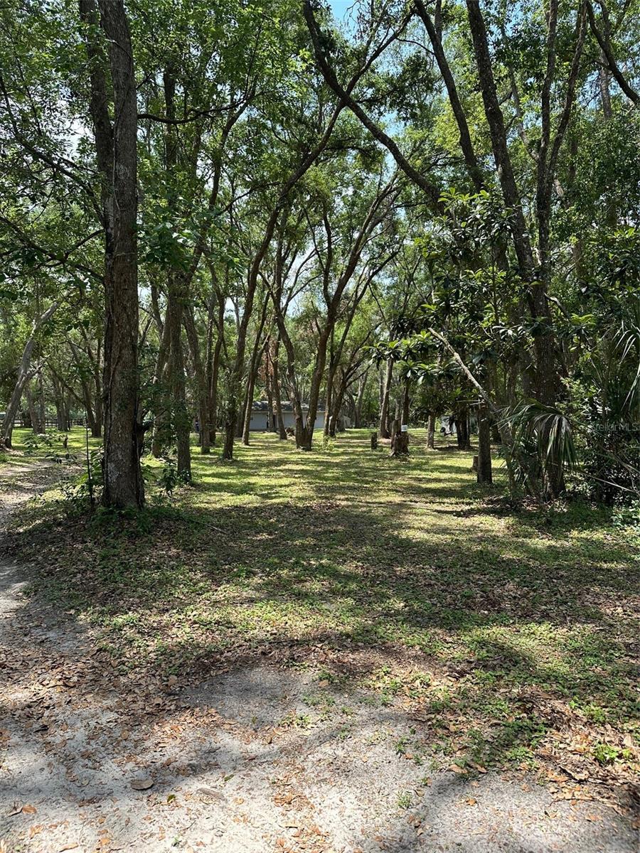 12720 JAN ST, SAN ANTONIO, FL, 33576