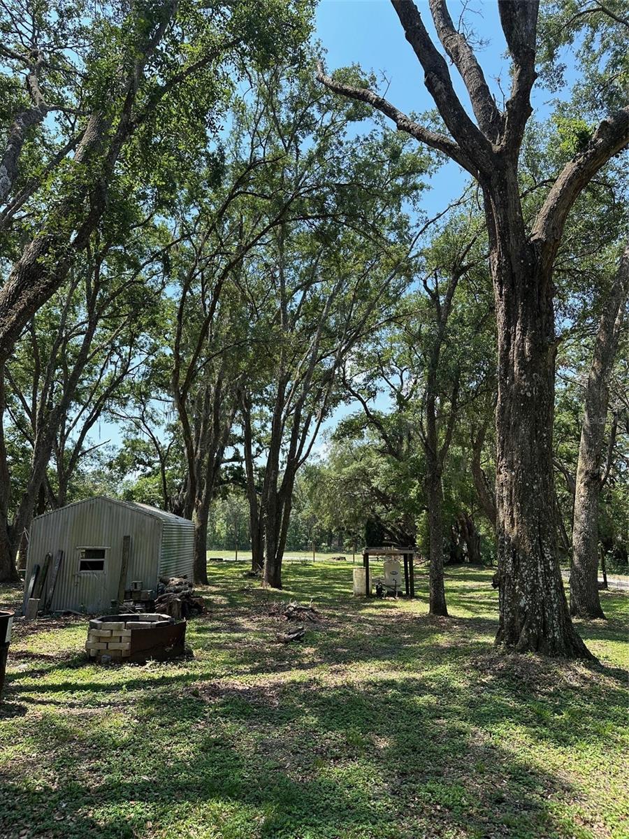 12720 JAN ST, SAN ANTONIO, FL, 33576