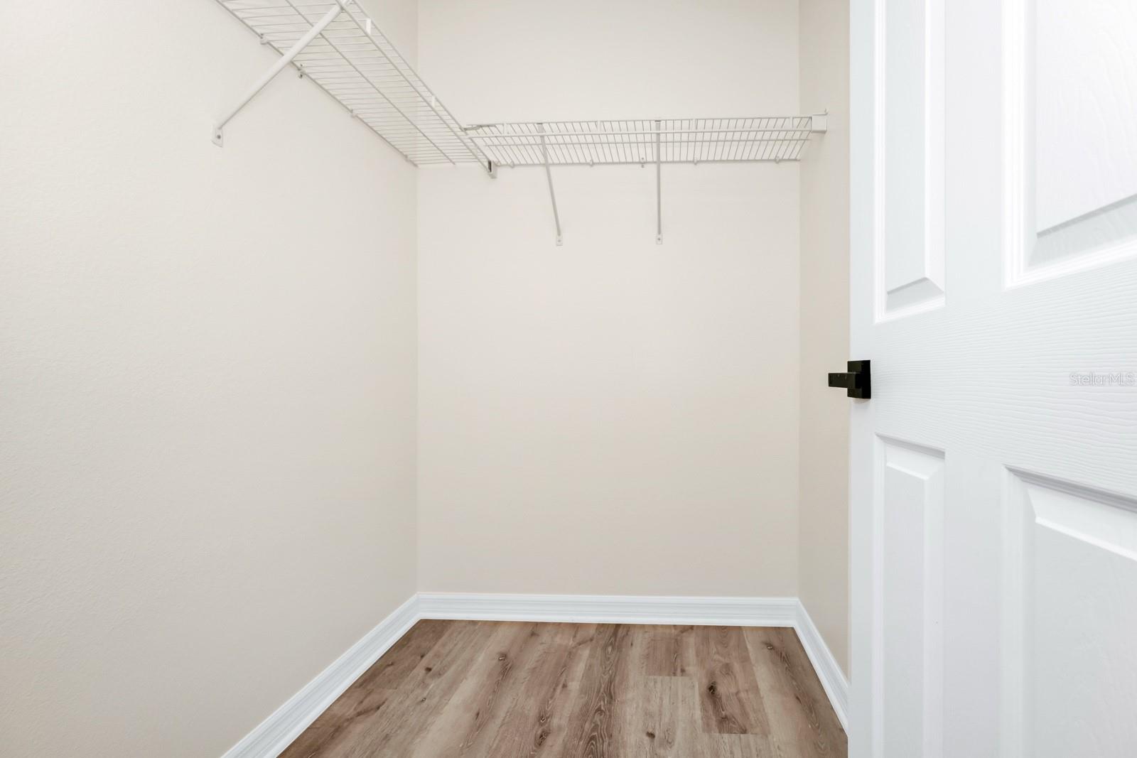 309 BLACK SPRINGS LN, WINTER GARDEN, FL, 34787