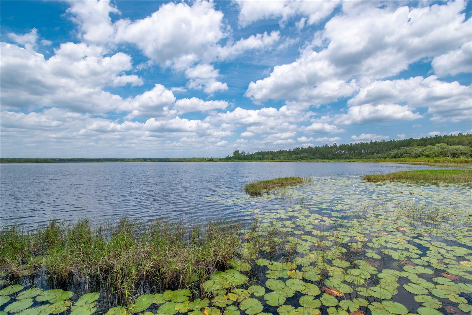 23797 NE 189TH ST, FORT MC COY, FL, 32134