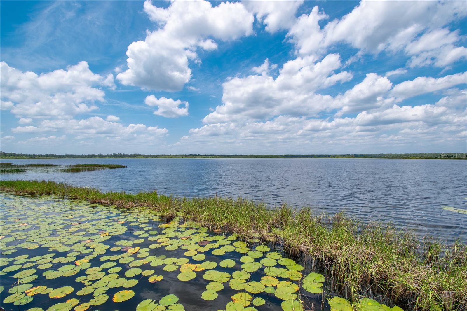 23797 NE 189TH ST, FORT MC COY, FL, 32134