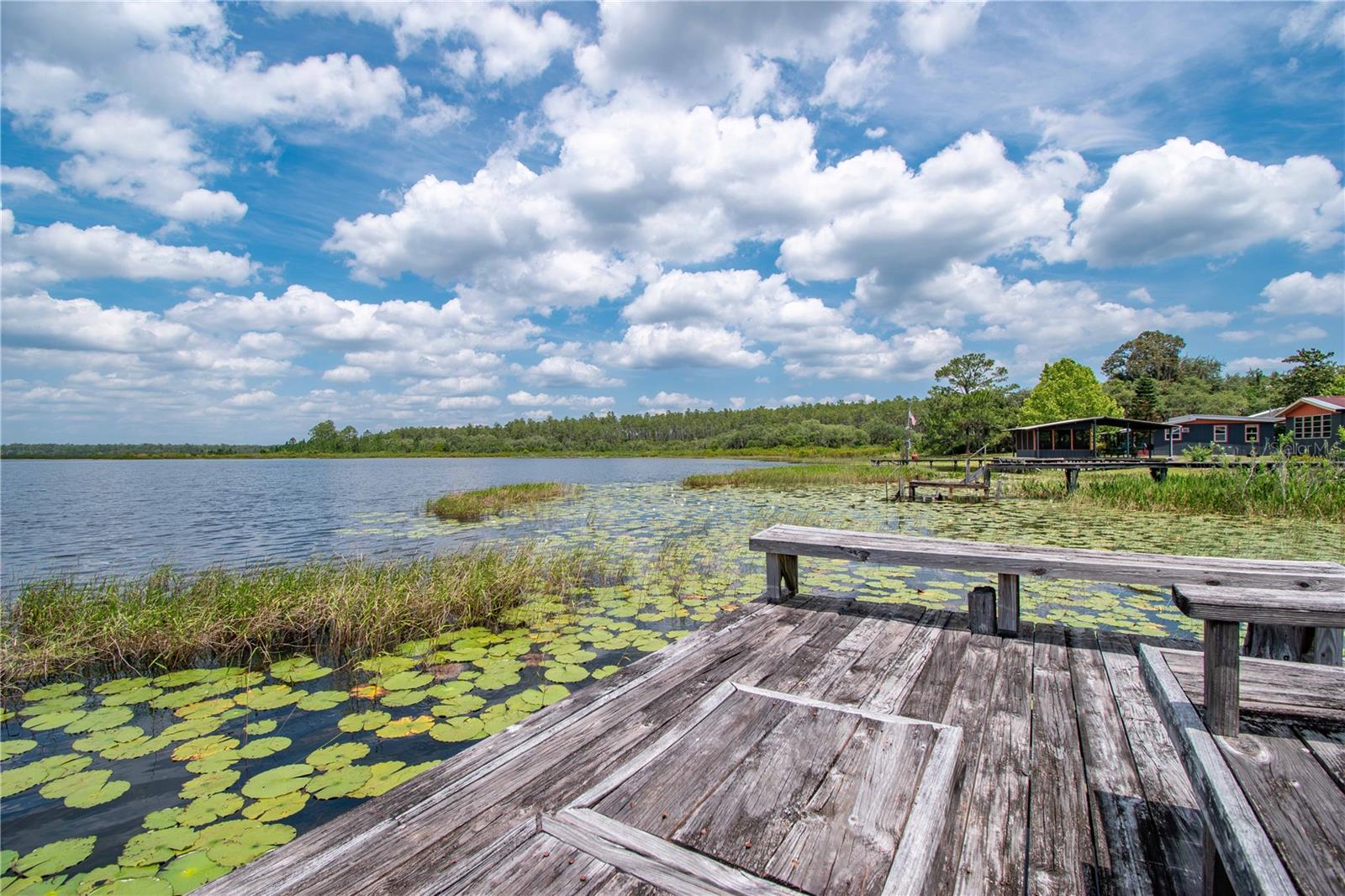 23797 NE 189TH ST, FORT MC COY, FL, 32134