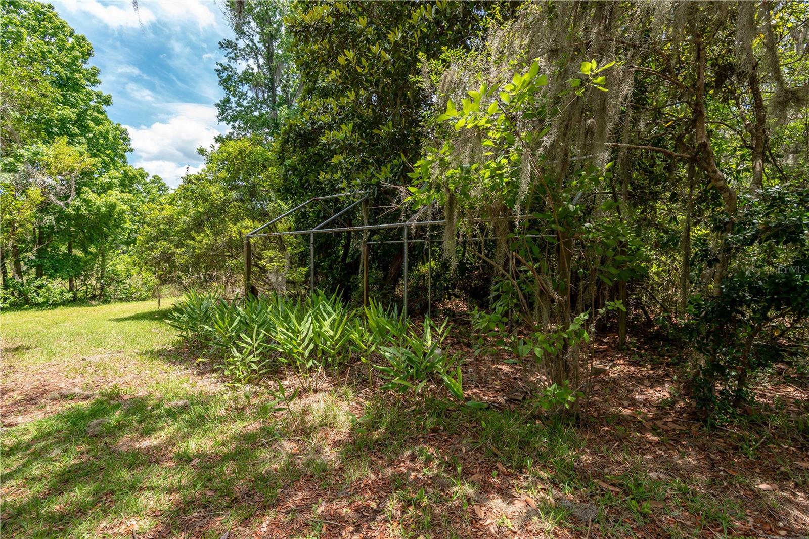 23797 NE 189TH ST, FORT MC COY, FL, 32134