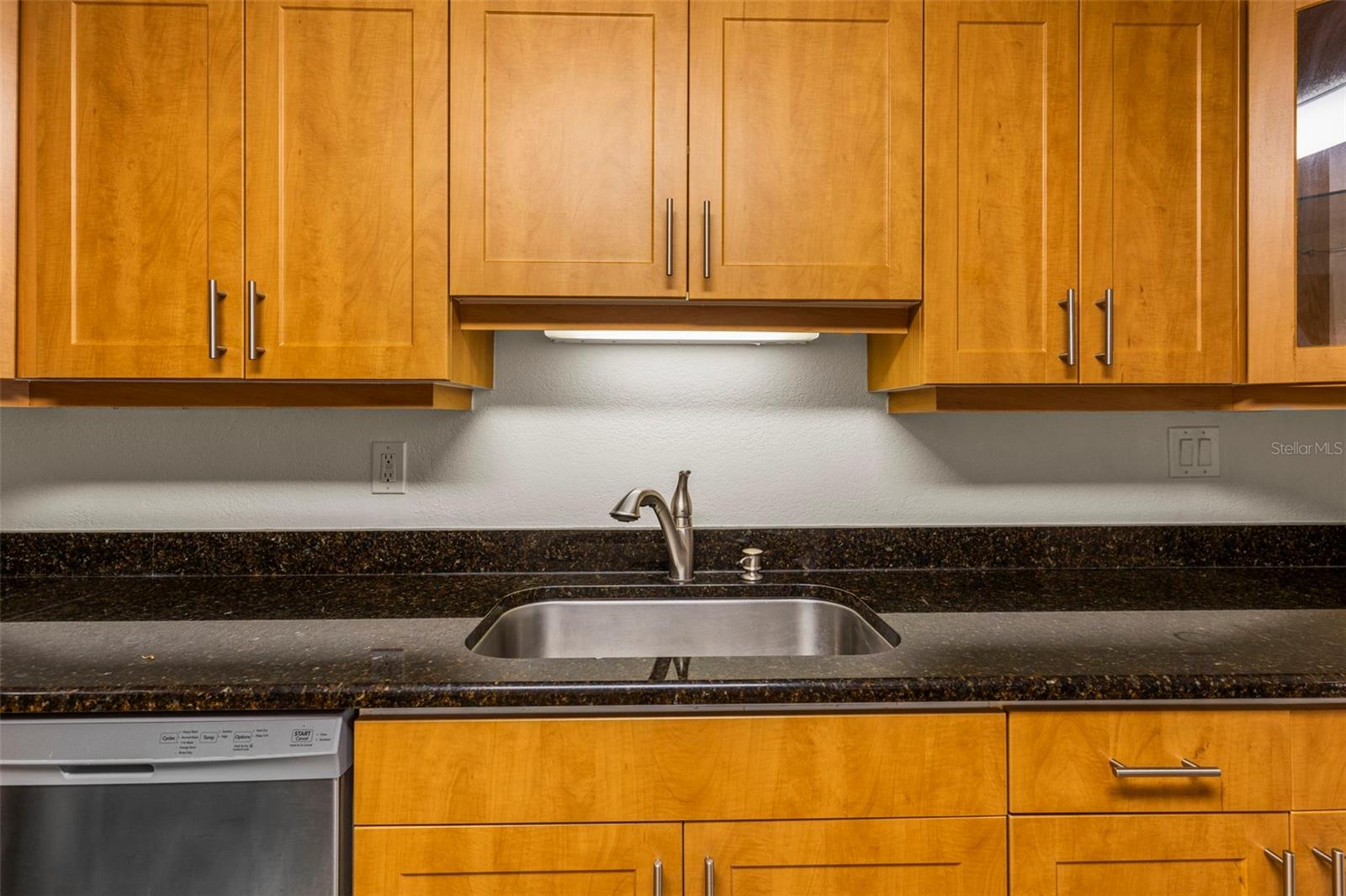 10511 WATERVIEW CT #10511, TAMPA, FL, 33615