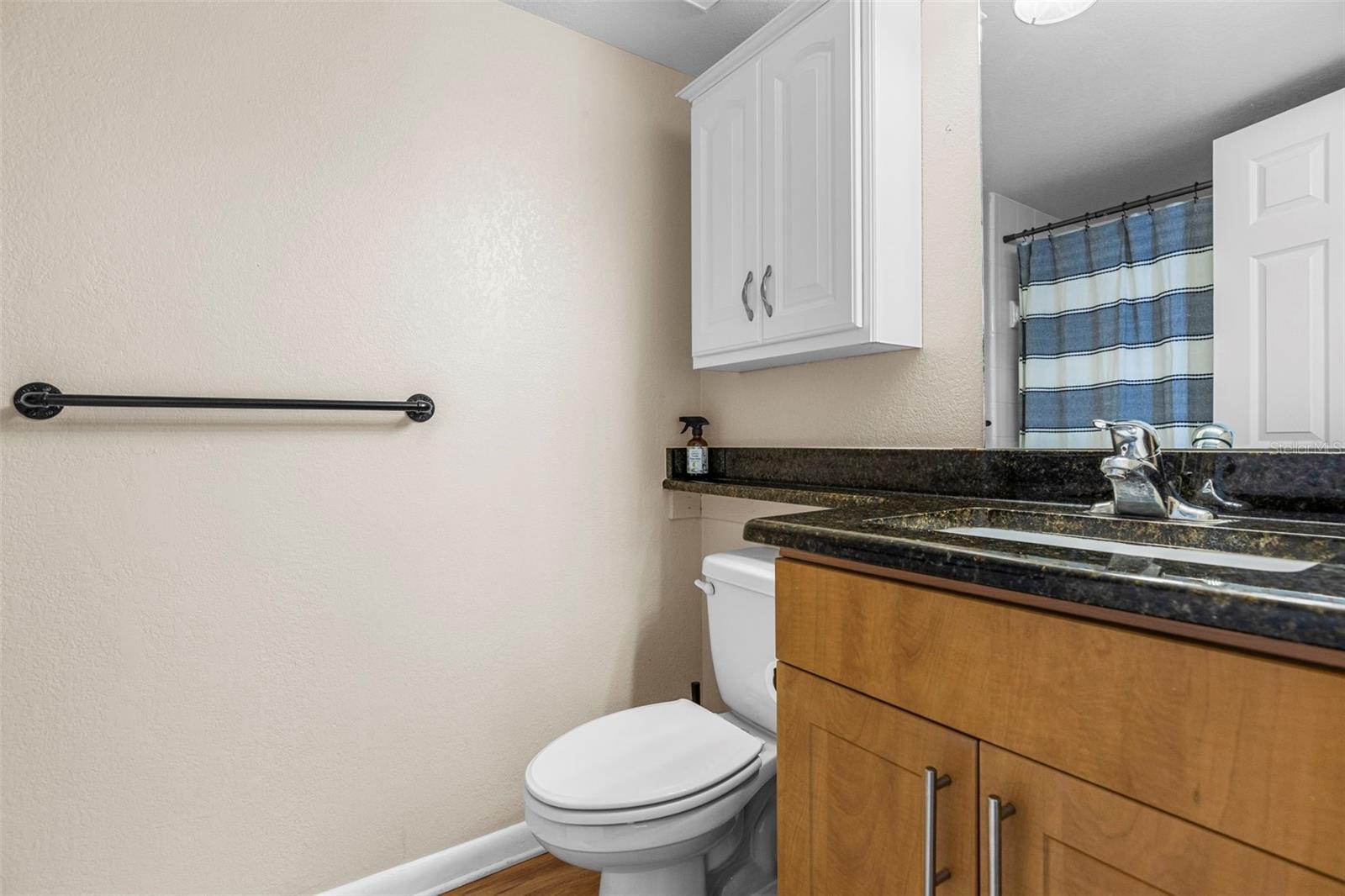 10511 WATERVIEW CT #10511, TAMPA, FL, 33615