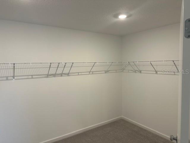 1283 NW 44TH COURT RD, OCALA, FL, 34482