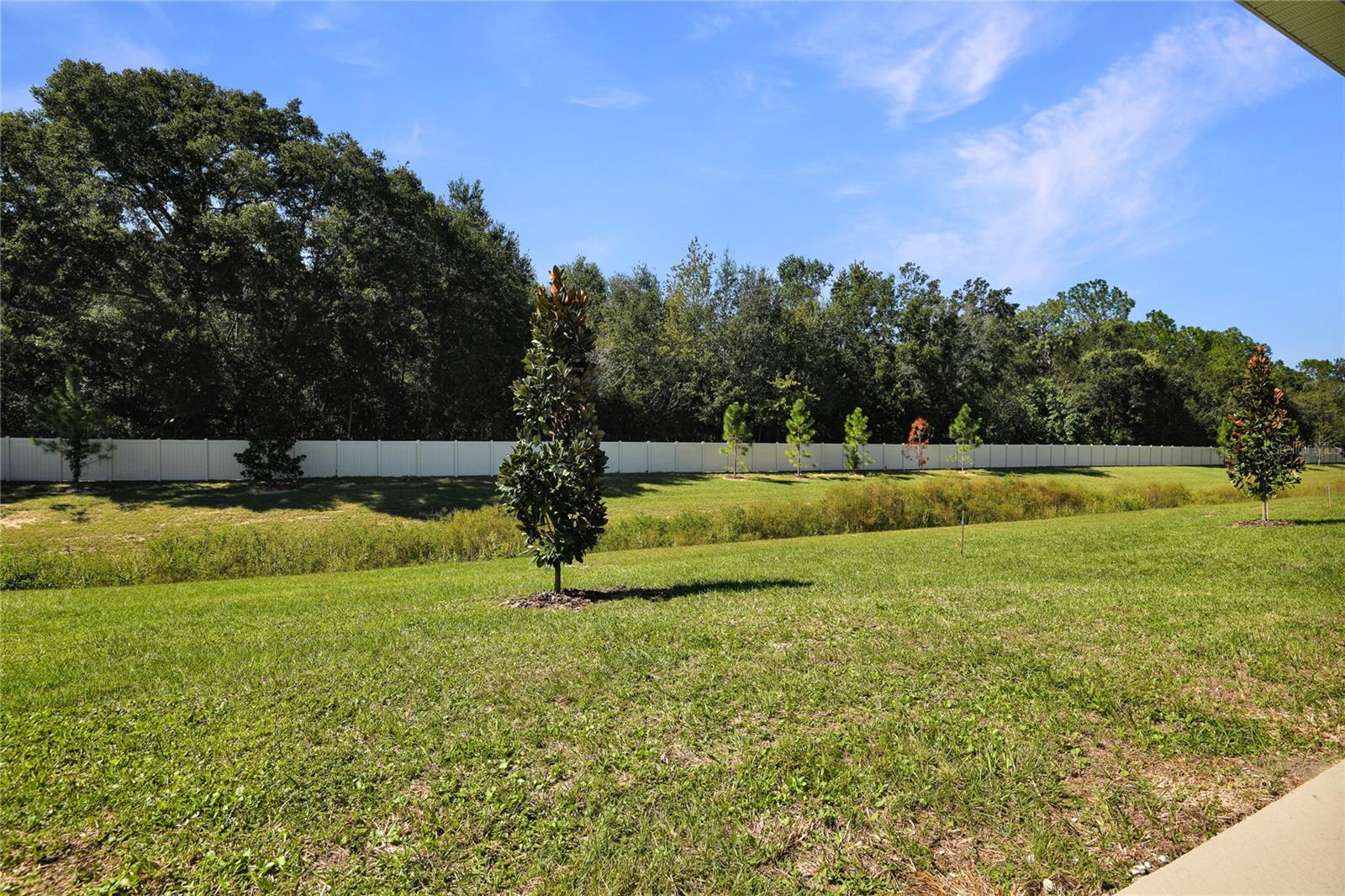 6182 SW 64TH TER, OCALA, FL, 34474