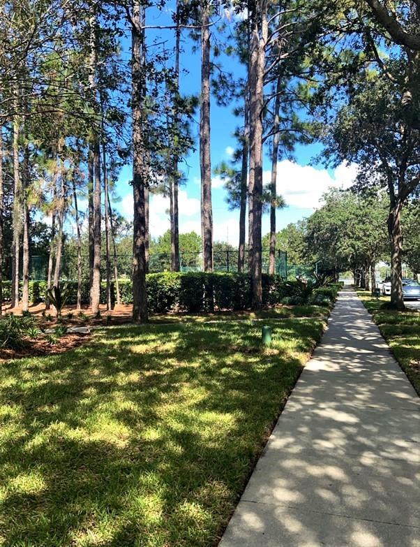 6957 NORTHWICH DR, WINDERMERE, FL, 34786