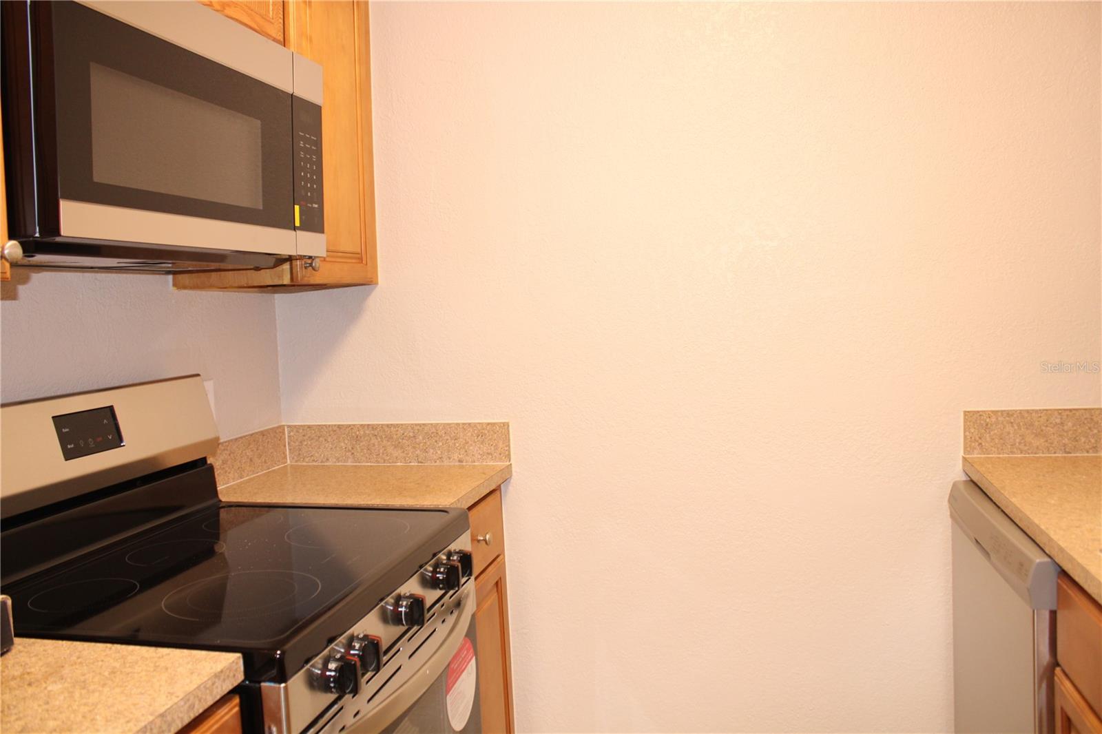 13725 JUNIPER BLOSSOM DR #102, TAMPA, FL, 33618