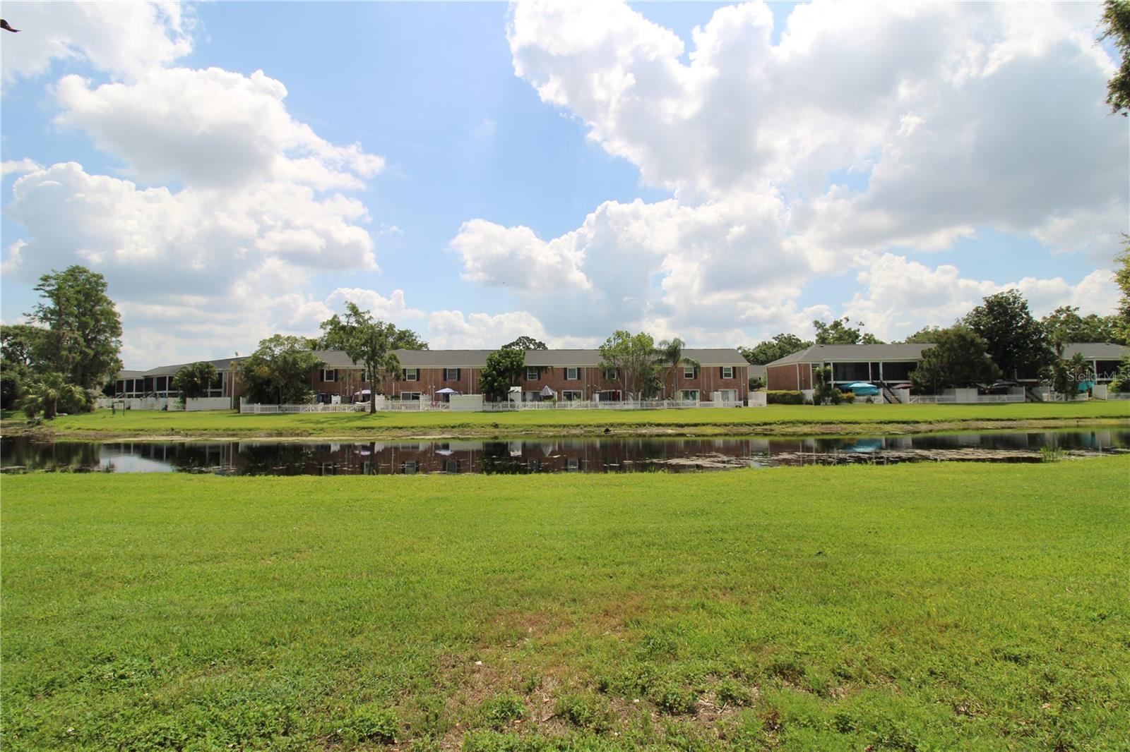 13725 JUNIPER BLOSSOM DR #102, TAMPA, FL, 33618