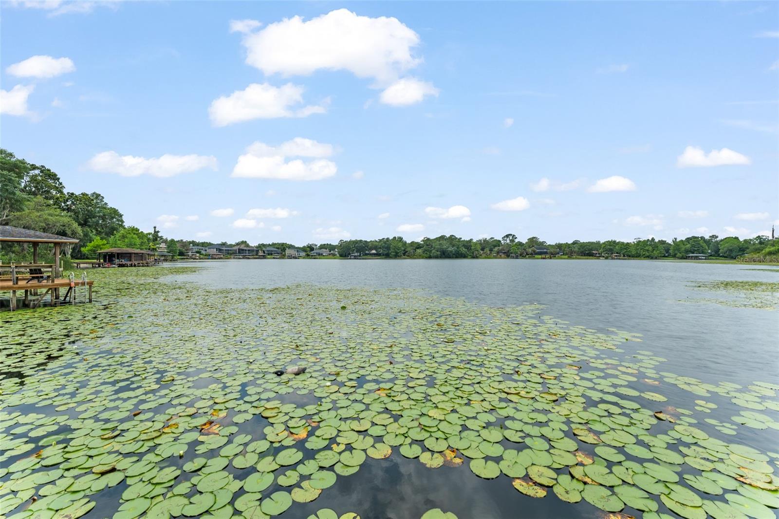 O6310851 Property Photo