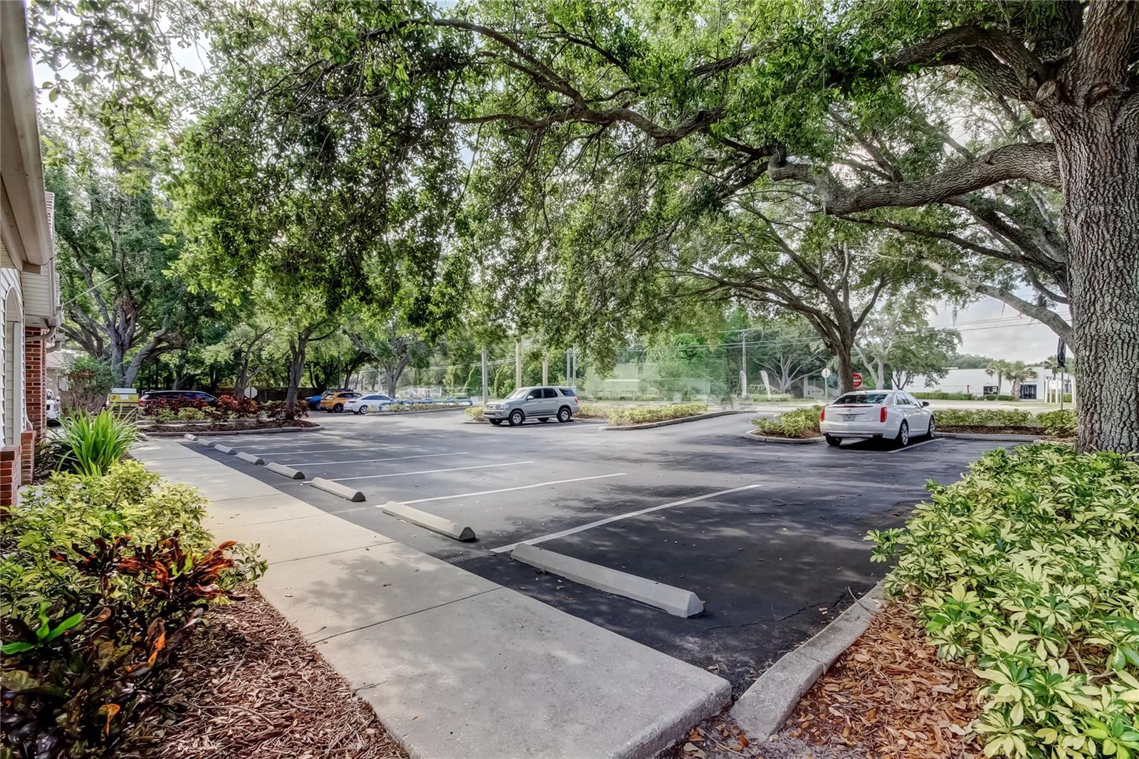 130 E BLOOMINGDALE AVE, BRANDON, FL, 33511