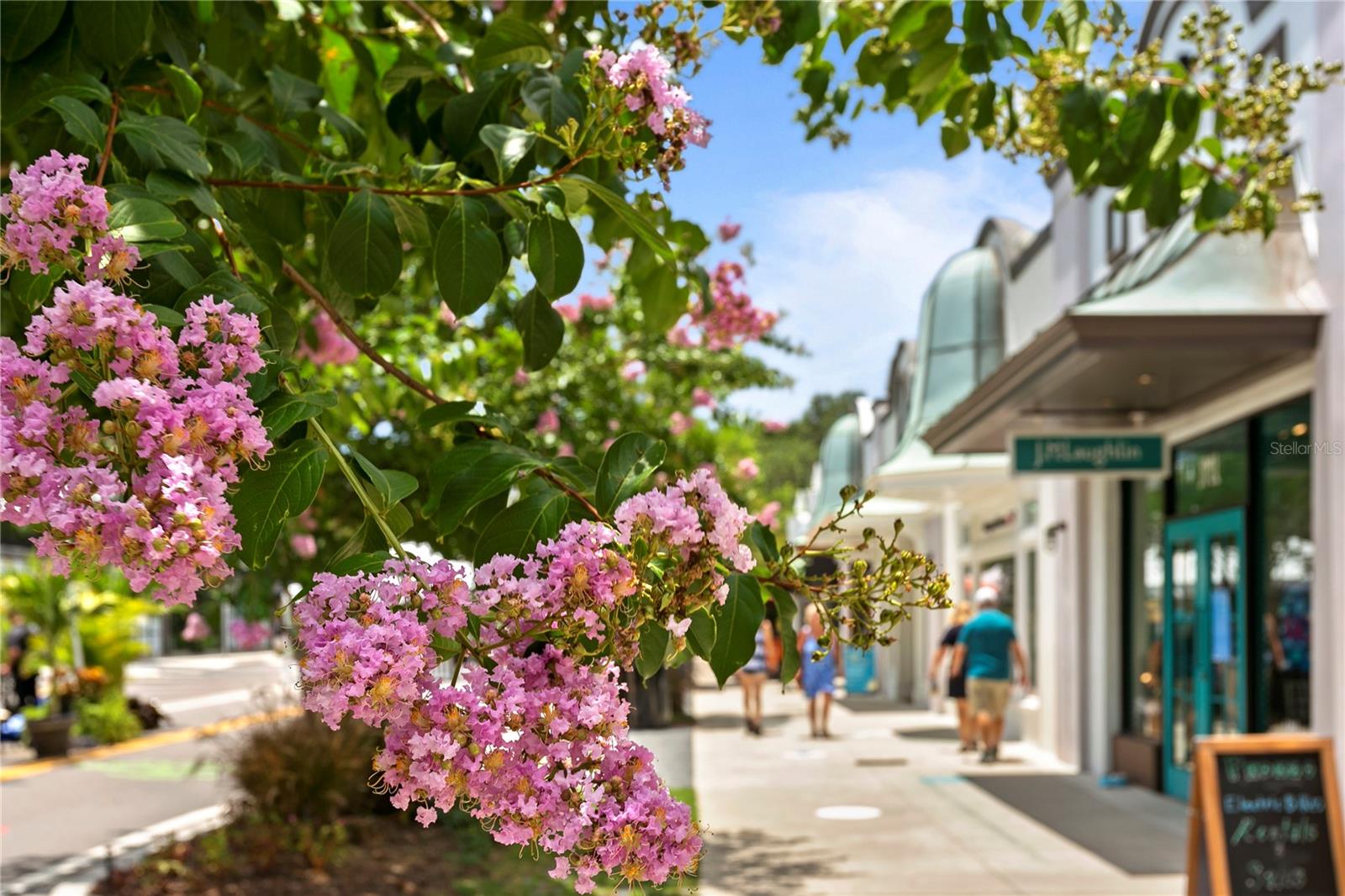 607 S ALBANY AVE #1, TAMPA, FL, 33606