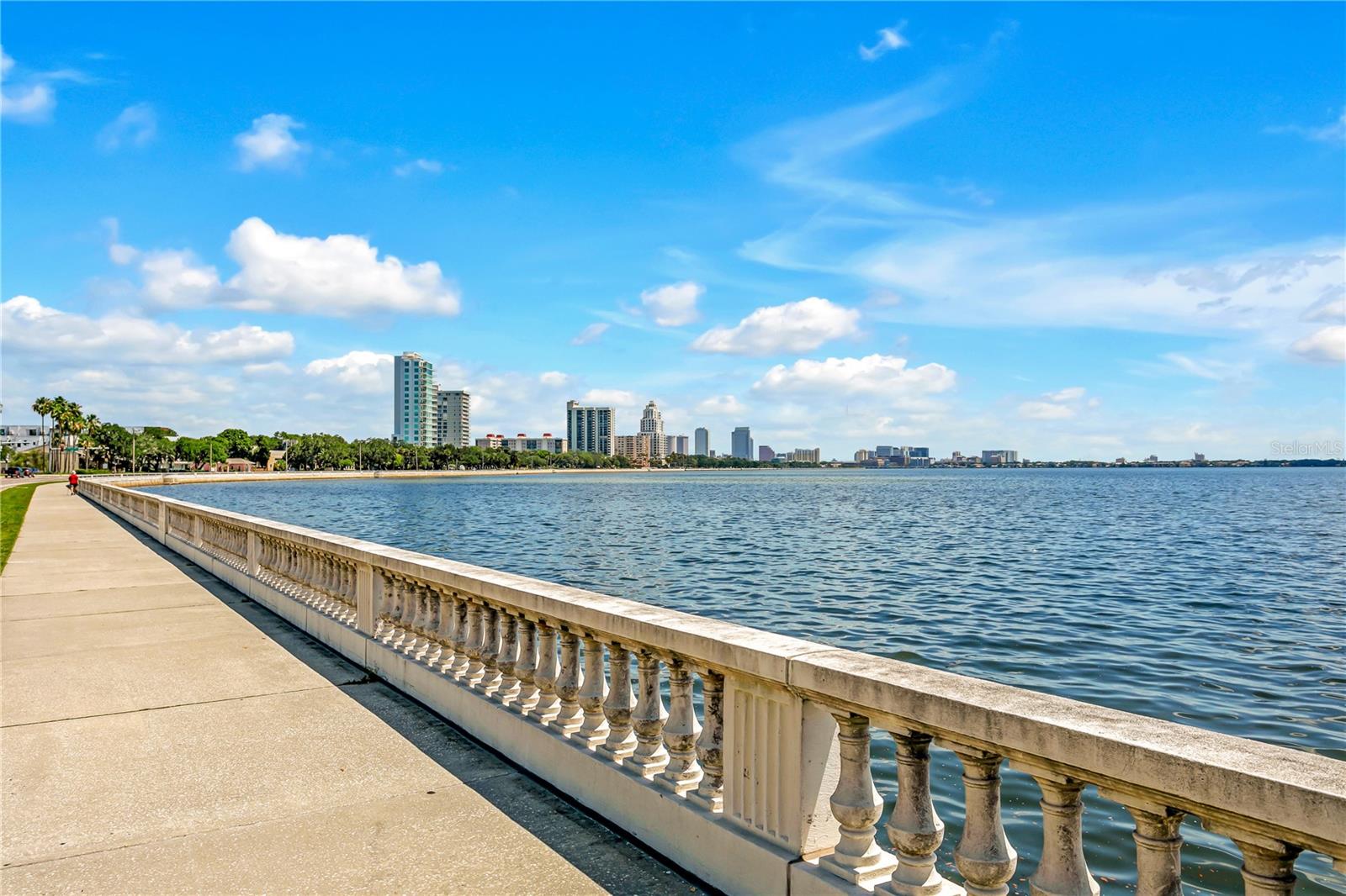 607 S ALBANY AVE #1, TAMPA, FL, 33606