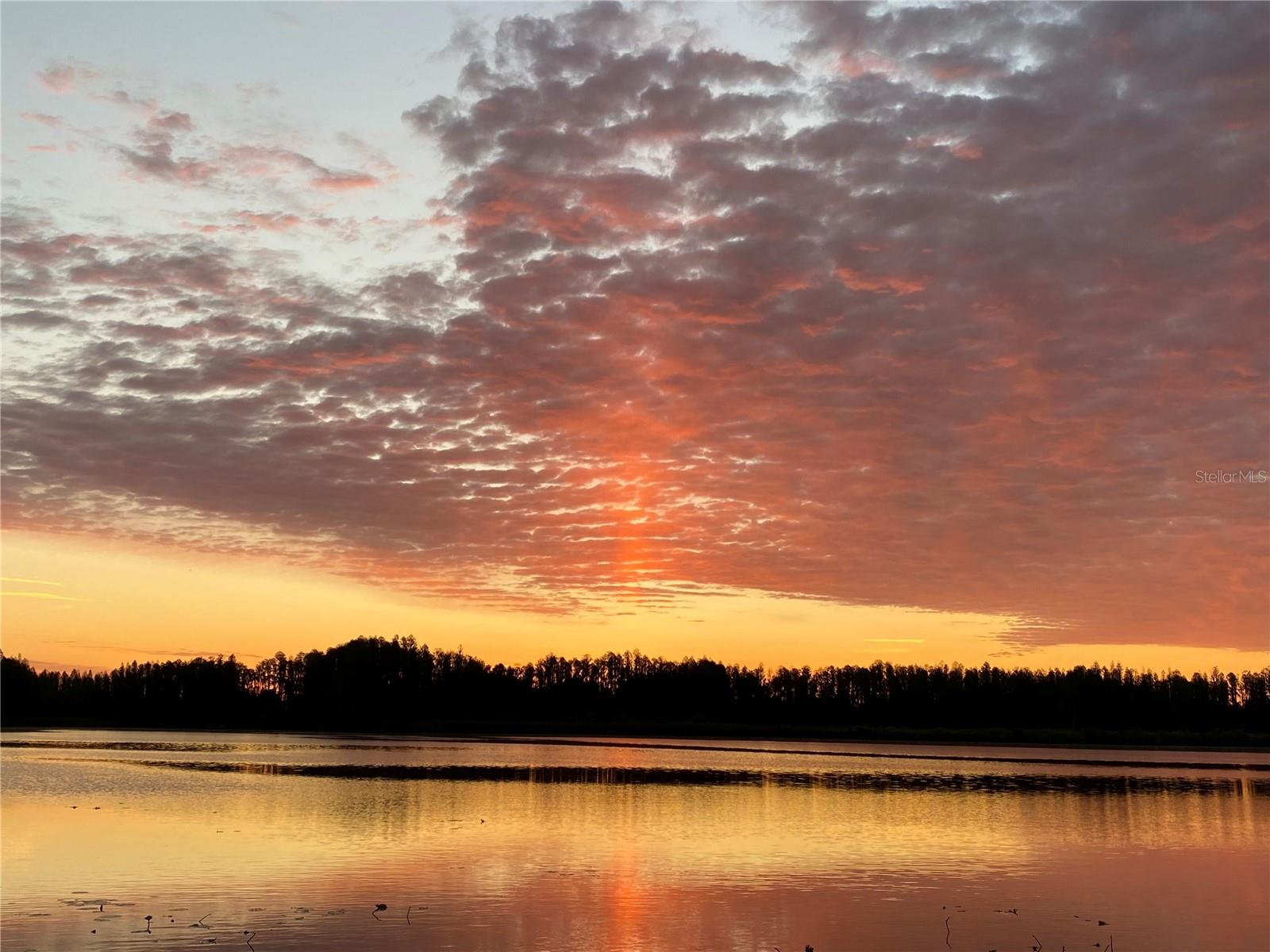 1834 DAIQUIRI LN, LUTZ, FL, 33549