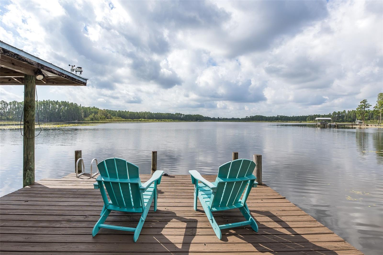 1834 DAIQUIRI LN, LUTZ, FL, 33549