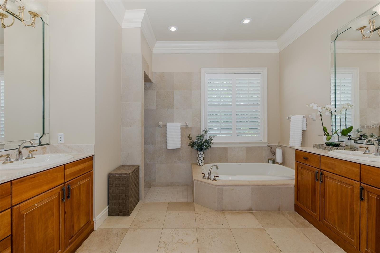 1834 DAIQUIRI LN, LUTZ, FL, 33549