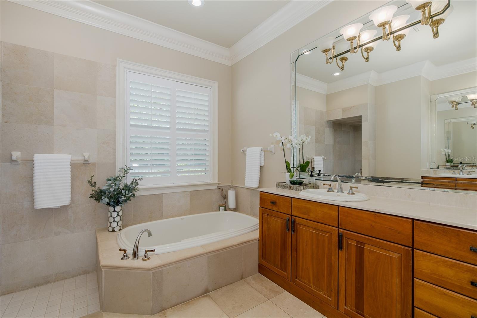 1834 DAIQUIRI LN, LUTZ, FL, 33549