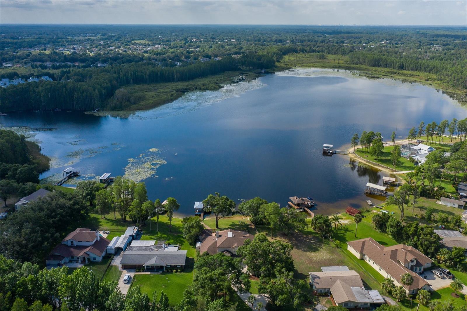 1834 DAIQUIRI LN, LUTZ, FL, 33549