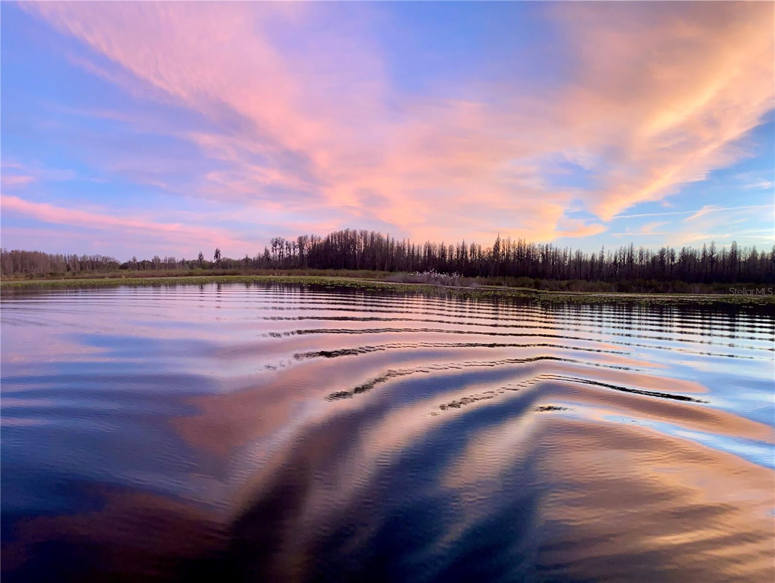 1834 DAIQUIRI LN, LUTZ, FL, 33549