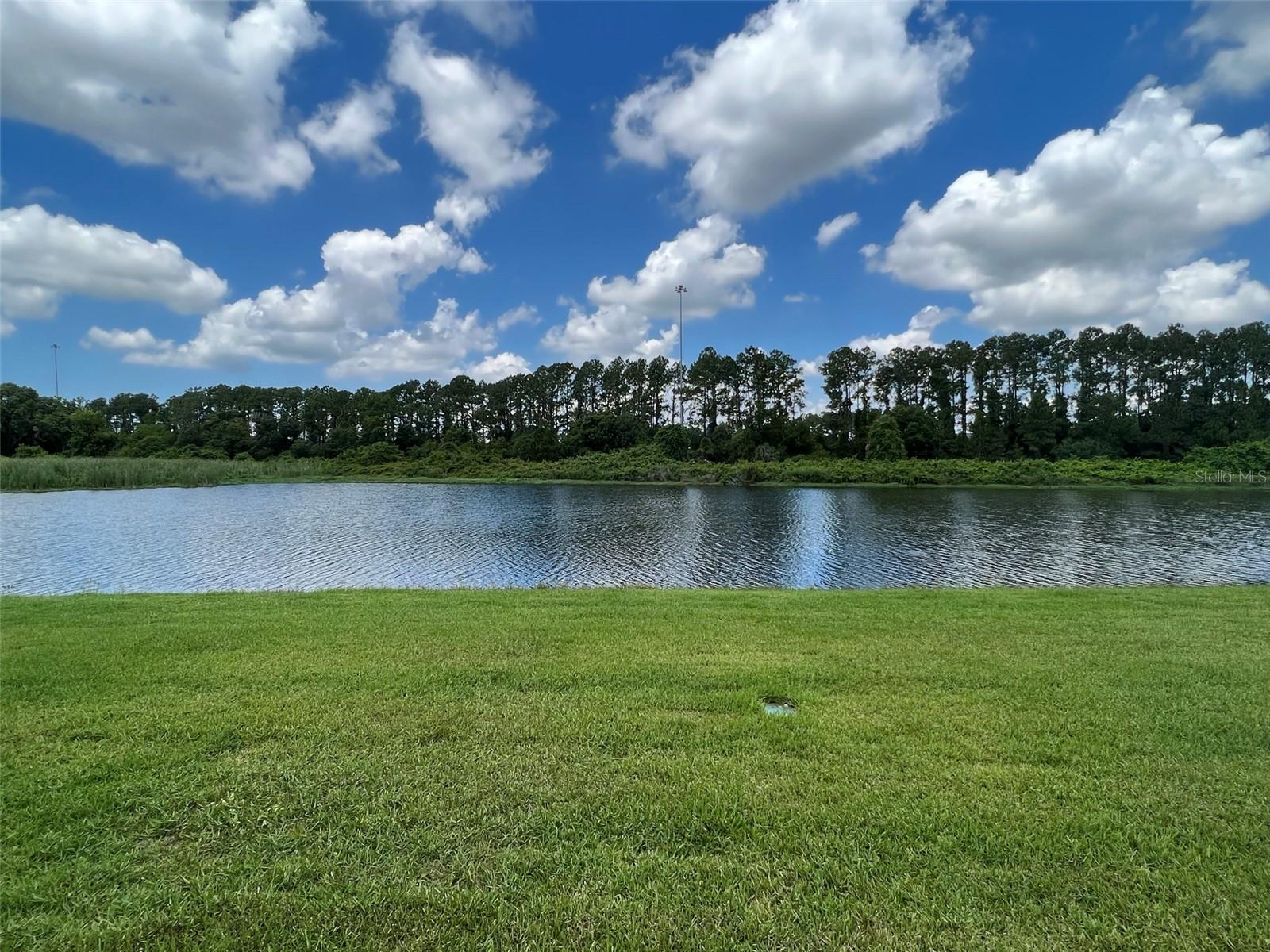 1221 BALLARD GREEN PL, BRANDON, FL, 33511