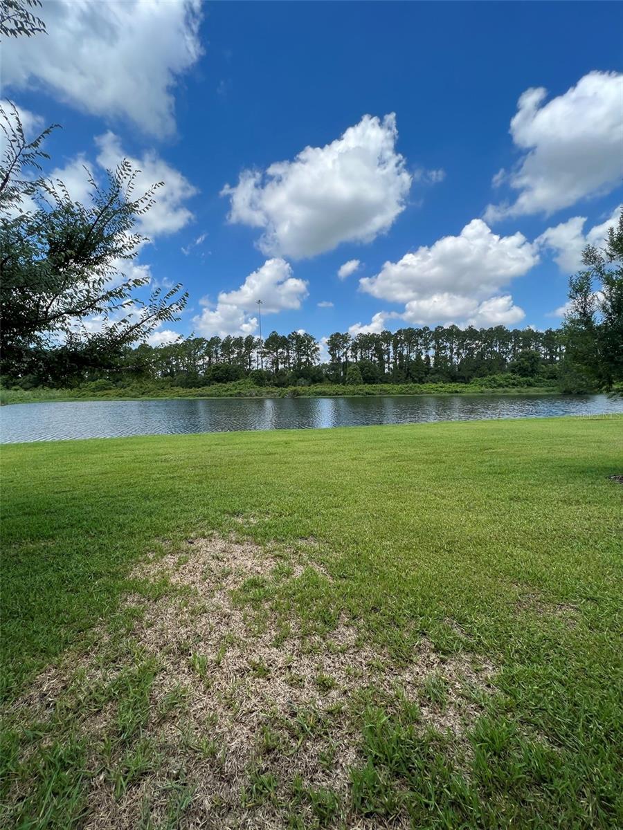 1221 BALLARD GREEN PL, BRANDON, FL, 33511