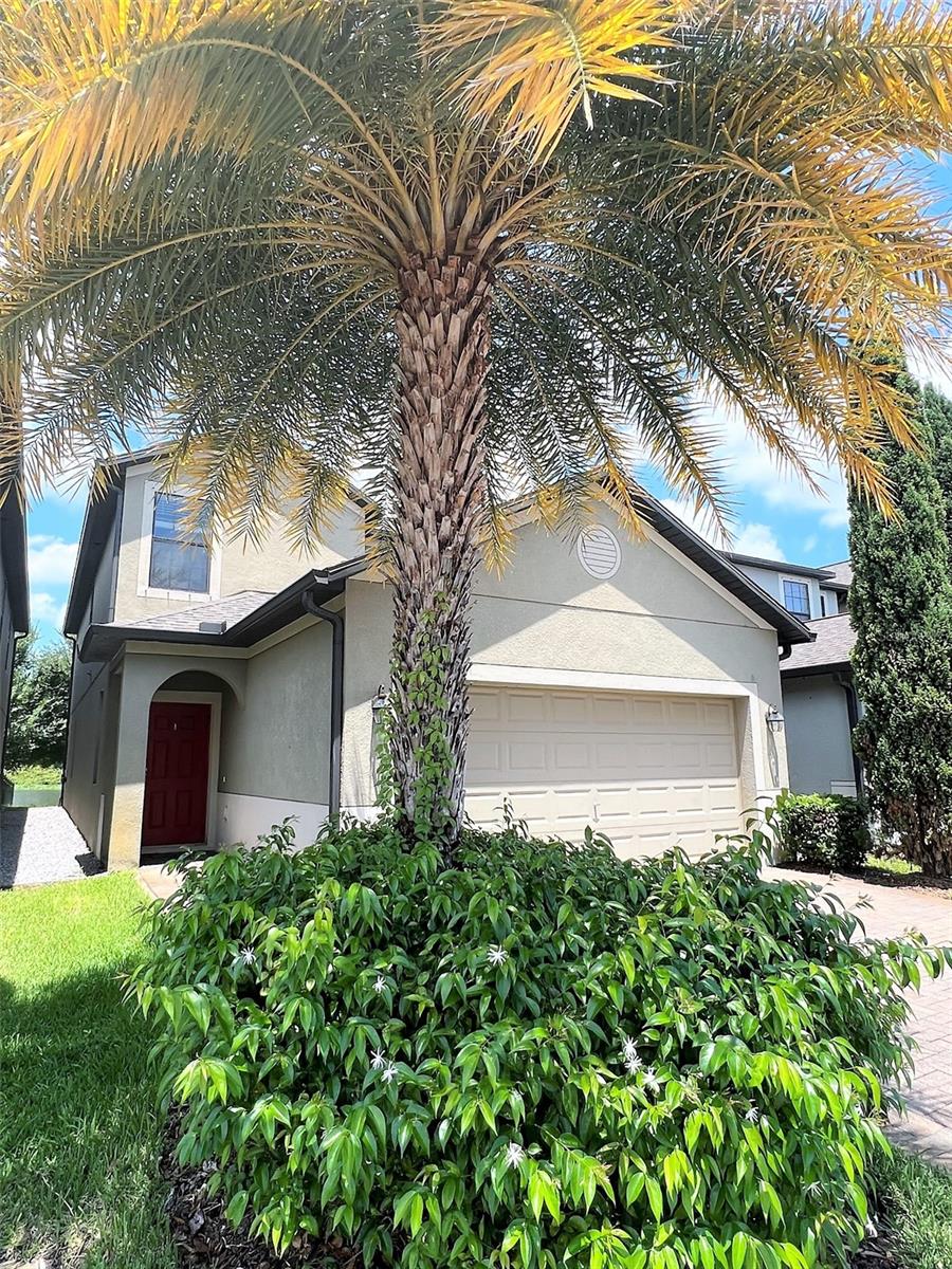 1221 BALLARD GREEN PL, BRANDON, FL, 33511