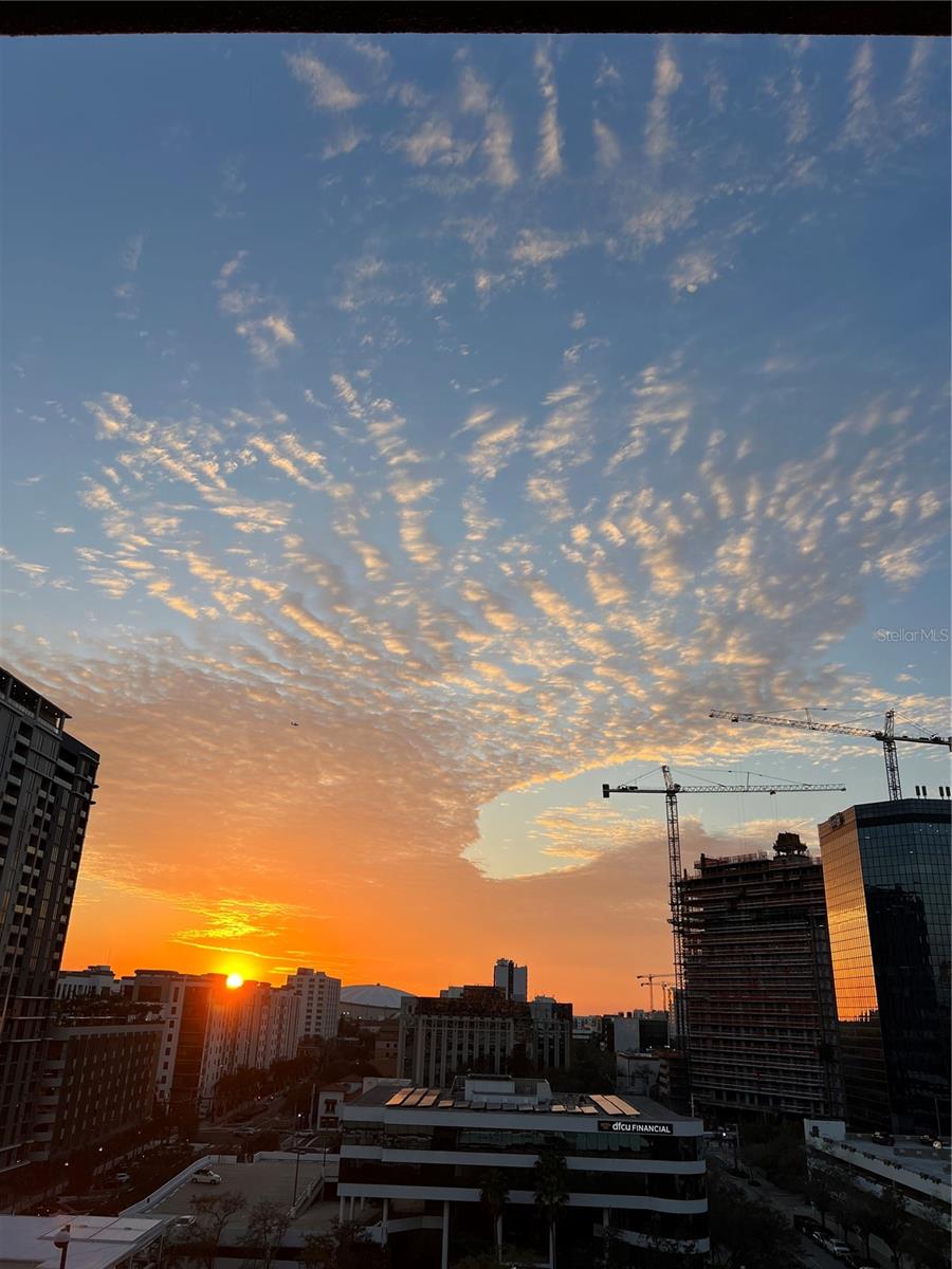 175 2ND ST S #915, ST PETERSBURG, FL, 33701