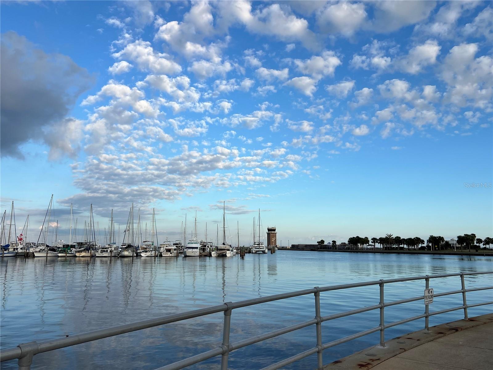 175 2ND ST S #915, ST PETERSBURG, FL, 33701