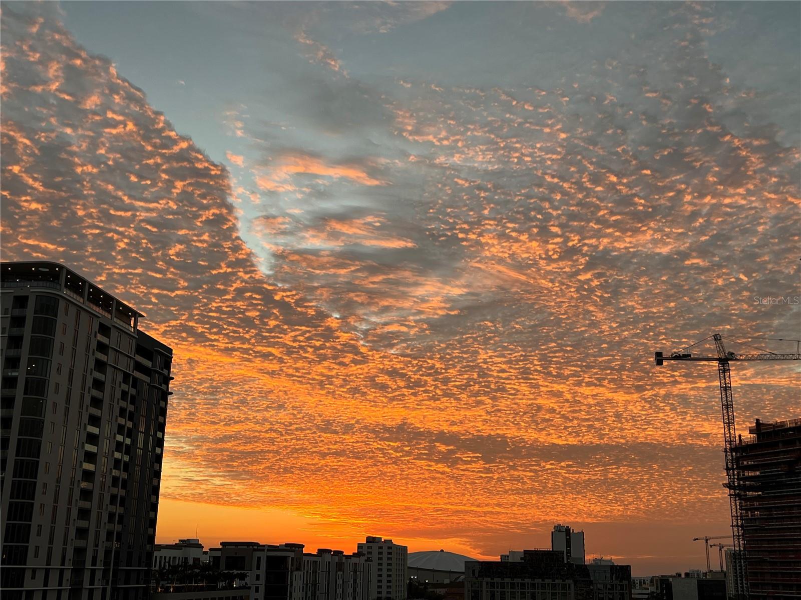 175 2ND ST S #915, ST PETERSBURG, FL, 33701