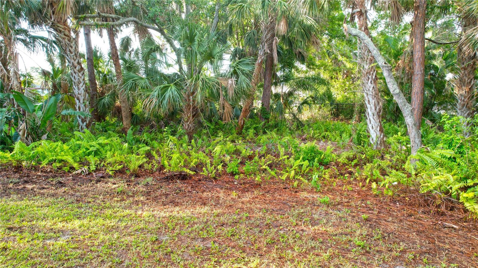 950 TROTTER ST, NOKOMIS, FL, 34275