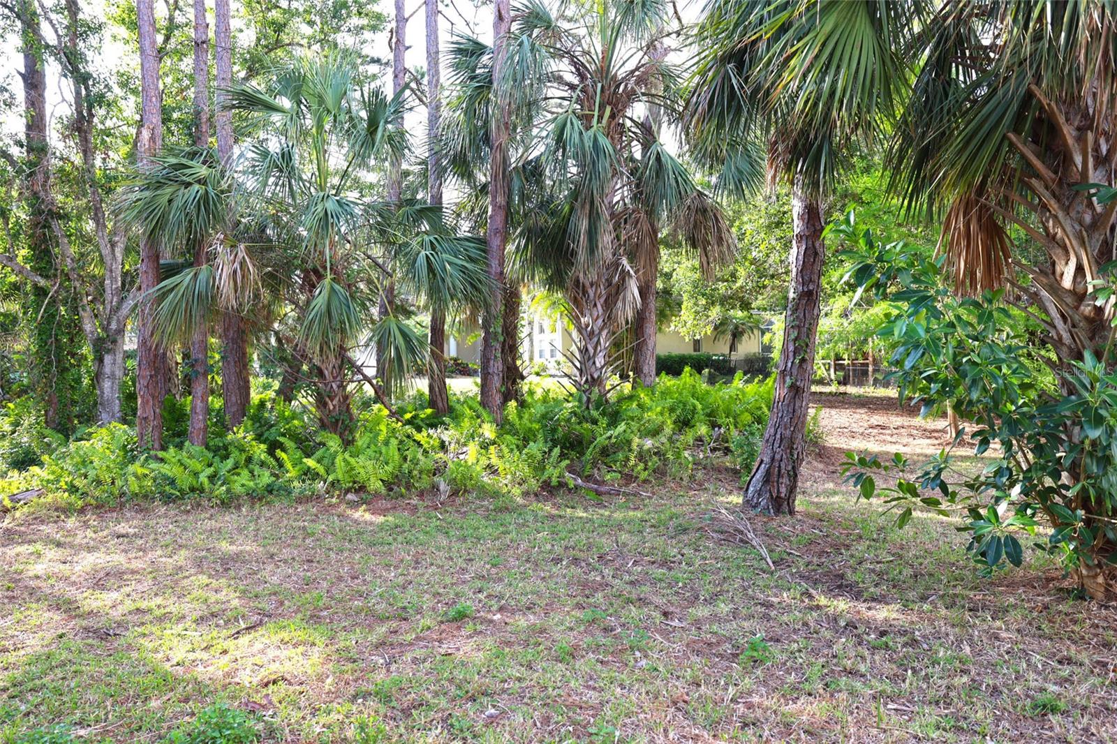 950 TROTTER ST, NOKOMIS, FL, 34275