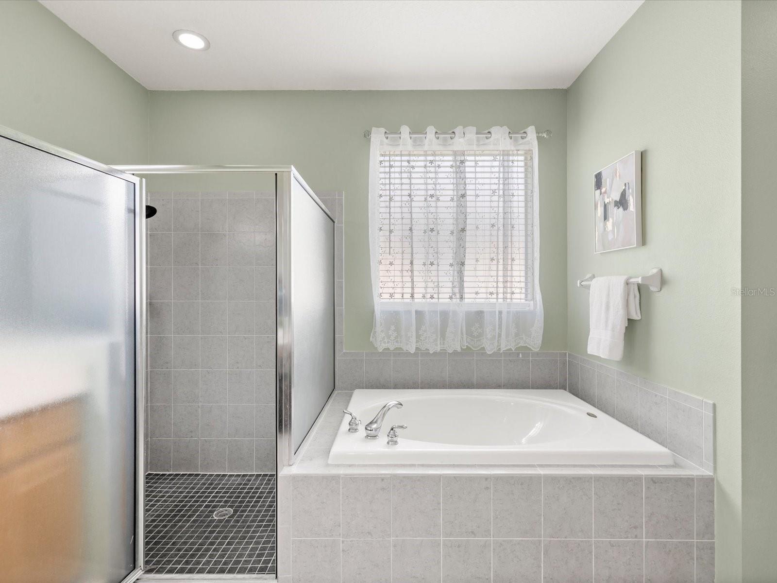 7935 CALINDRA CT, TRINITY, FL, 34655