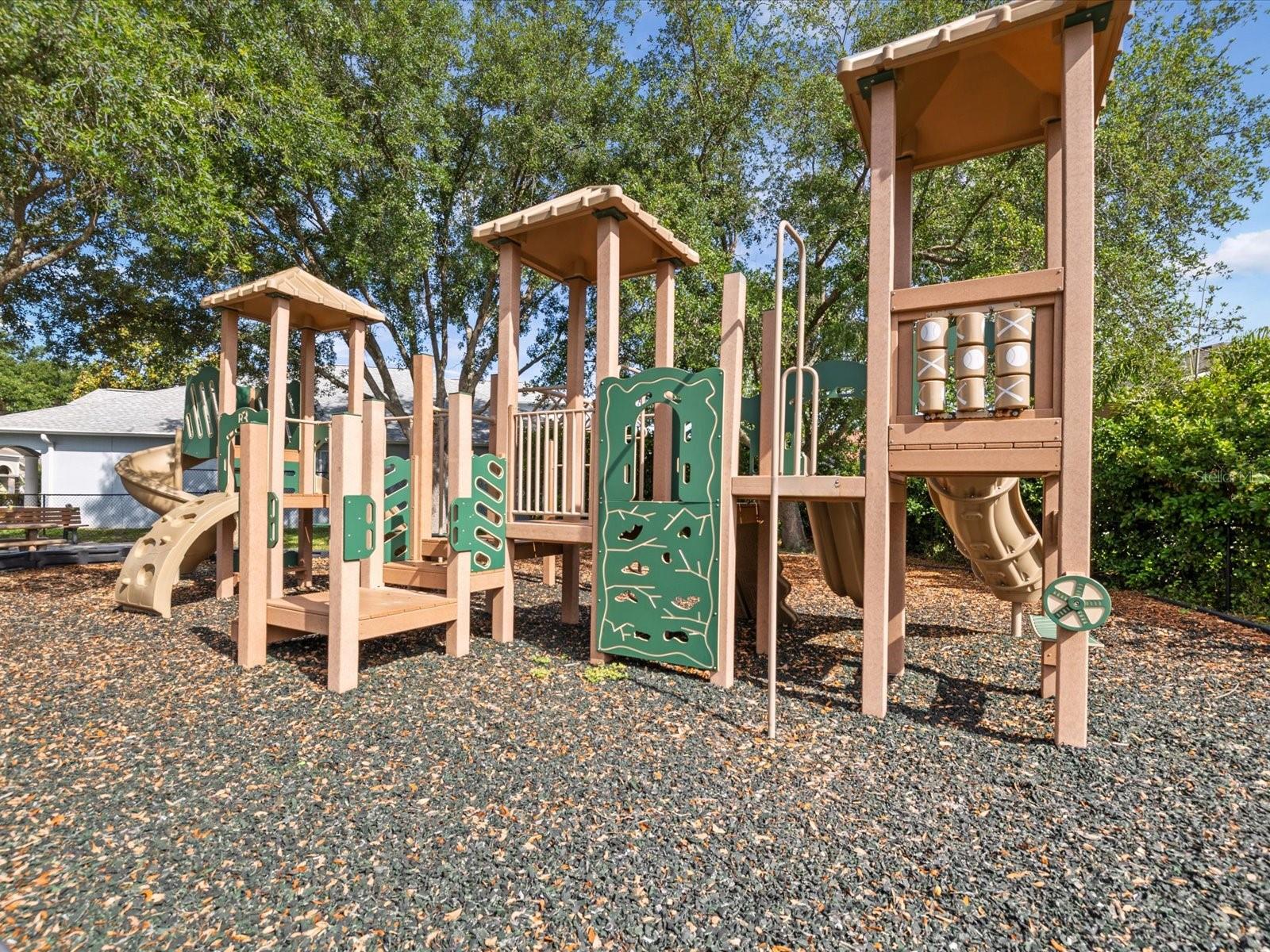 7935 CALINDRA CT, TRINITY, FL, 34655