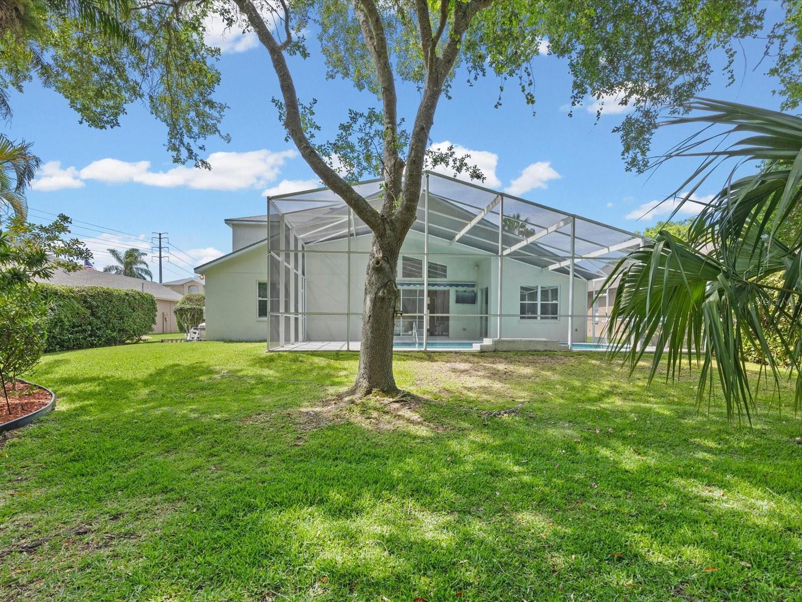 7935 CALINDRA CT, TRINITY, FL, 34655